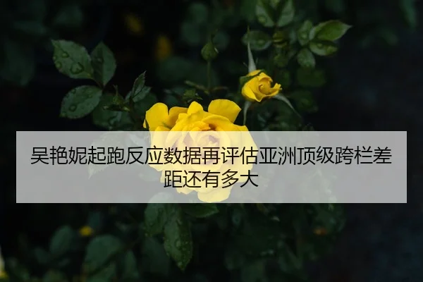 吴艳妮起跑反应数据再评估亚洲顶级跨栏差距还有多大