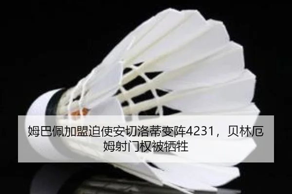 mu-ba-pei-jia-meng-po-shi-an-qie-luo-di-bian-zhen-bei-lin-e-mu-she-men-quan-bei-xi-sheng-2-347.jpg