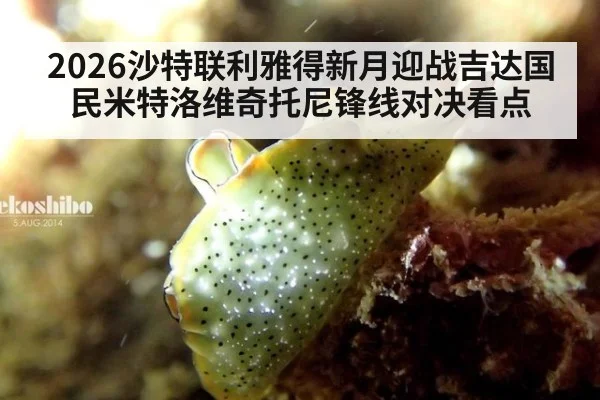 2026沙特联利雅得新月迎战吉达国民米特洛维奇托尼锋线对决看点